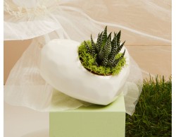 BOMBONIERA MATRIMONIO CLARALUNA VASO A CUORE CON PIANTINA GRASSA COLORE BIANCO