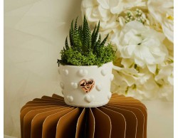 Bomboniera Claraluna 2026 Vasetto Cuoricini con Cuore Oro Rosa e Piantina Grassa Elegante Mini Vaso