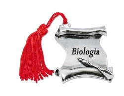 Bomboniera Laurea pergamena Biologia con Nappina Rossa