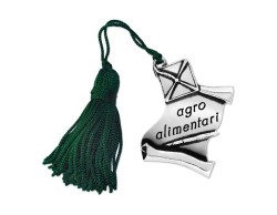 Bomboniera Laurea pergamena con tocco Agroalimentari con Nappina Verde
