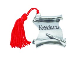Bomboniera Laurea pergamena Veterinaria con Nappina Rossa