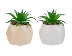 Bomboniera Vasetto con Piantina Artificiale in Porcellana - 2 Colori Assortiti