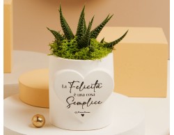 BOMBONIERA MATRIMONIO CLARALUNA VASETTO CON PIANTINA CON SCRITTA La felicità  è una cosa semplice