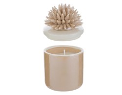 Bomboniera le stelle Candela Scatola Corallo in Porcellana beige