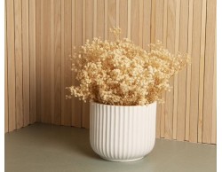 Vaso Plissè Claraluna