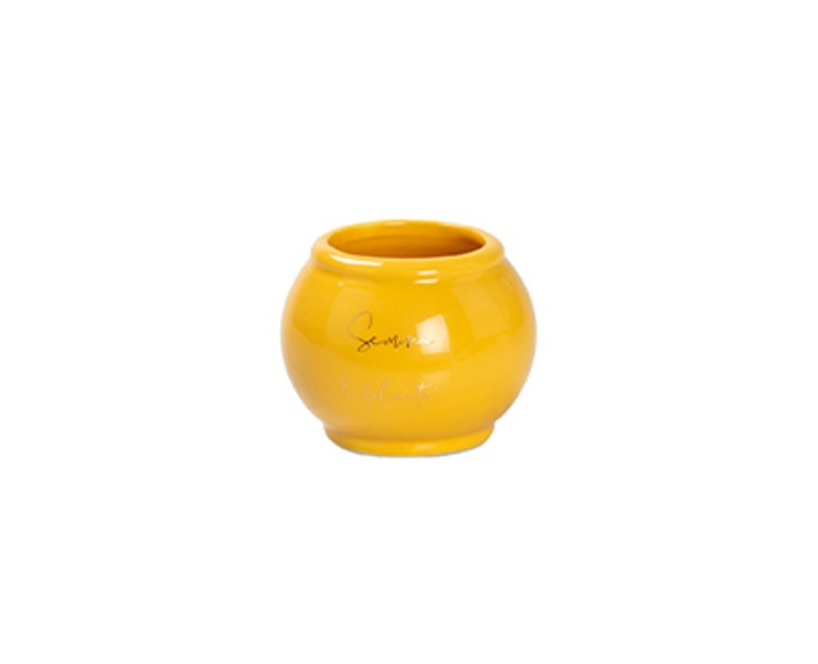 Bomboniera harmony PORTA PIANTINA PORCELLANA BOMBATA IN 4 COLORI ASSORTITI CON BOX E SACCHETTO su Bomboniere Dolci Emozioni