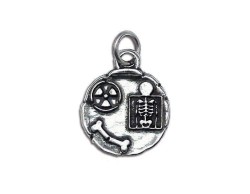 Bomboniera Laurea ciondolo radiologia in argento