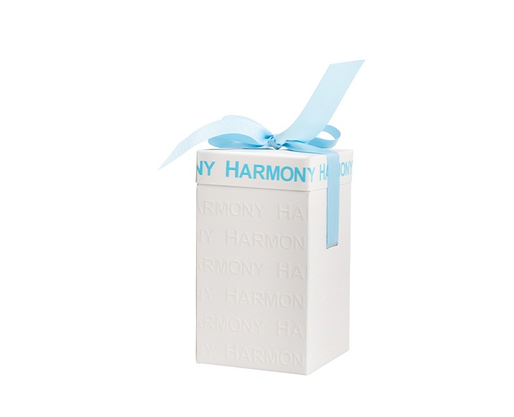 Bomboniera Harmony CARILLON PORCELLANA CON GIOSTRINA CAVALLI CELESTE CON BOX E SACCHETTO su Bomboniere Dolci Emozioni