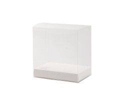 Bomboniera harmony PORTA PIANTINA BOY 2 ASS. CON PIANTINA INCLUSA CON BOX E FAZZOLETTO su Bomboniere Dolci Emozioni