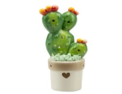 Bomboniera Matrimonio Harmony piantina cactus/ficodindia ceramica 2 assortiti con gift
