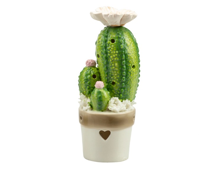 Bomboniera Matrimonio Harmony piantina cactus/ficodindia ceramica 2 assortiti con gift su Bomboniere Dolci Emozioni