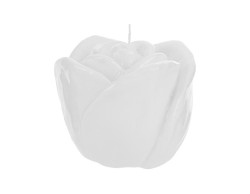 Bomboniera Candela Rosa Bianca