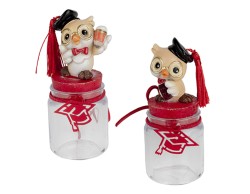 Bomboniera Porta Confetti Laurea con Gufetto assortita in 2 varianti