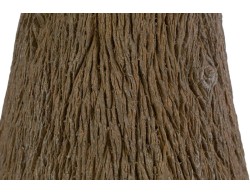 cBase per albero di Natale a tronco conico in resina effetto legno 41x42,5 cm – Decorazione Natalizia Le Stelle su Bomboniere Dolci Emozioni
