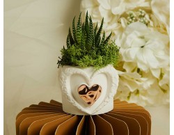 Bomboniera Claraluna 2026 Vasetto grande Cuore Claraluna con Applicazione Oro Rosa e Piantina Grassa