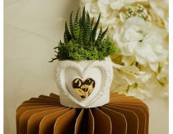 Bomboniera Claraluna 2026  Vasetto Cuore Claraluna con Applicazione Oro e Piantina Grassa