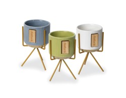 Bomboniera Solidale Portapiante Grafite Mediao con Stand assortito 3 pezzi Quadrifoglio per Fondazione ABIO