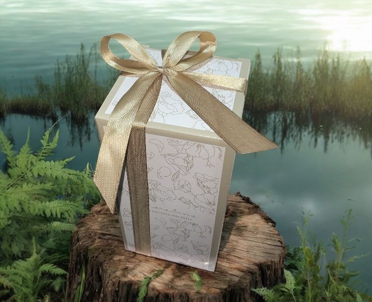 Bomboniera Matrimonio Claraluna Lampada LED verde su Bomboniere Dolci Emozioni