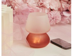 Bomboniera Matrimonio Claraluna 2026 Lampada LED Ricaricabile Rosa A Fungo Luce Decorativa