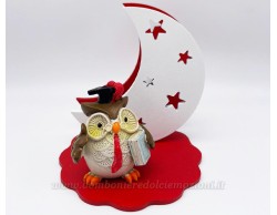 Bomboniera laurea gufo luna con led