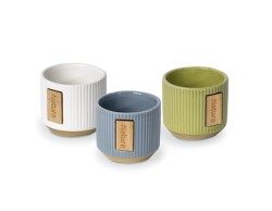 Bomboniera Solidale Portapiante Grafite Piccolo assortito 3 pezzi Quadrifoglio per Fondazione ABIO