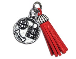 Bomboniera Laurea ciondolo radiologia con nappa rossa