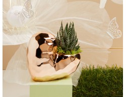 BOMBONIERA MATRIMONIO CLARALUNA VASO A CUORE CON PIANTINA