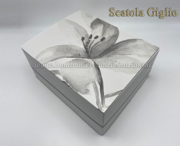 Bomboniera Matrimonio Claraluna tris piattini cuore bianco piccolo verde medio marrone grande su Bomboniere Dolci Emozioni