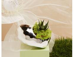 BOMBONIERA MATRIMONIO CLARALUNA VASETTO A CUORE CON PIANTINA GRASSA