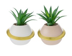 Bomboniera matrimonioVasetto Pianeta con Piantina Artificiale grande