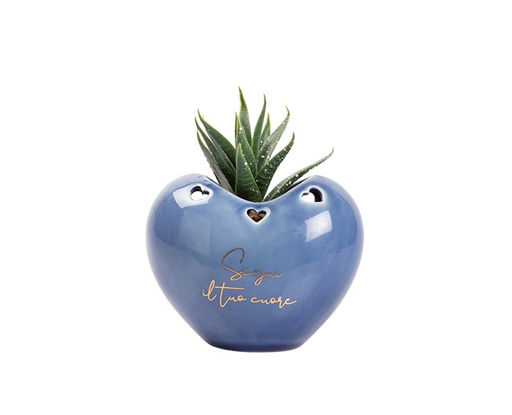 Bomboniera Matrimonio harmony PORTA PIANTINA CUORE PORCELLANA 4 COLORI ASSORTITI CON PIANTA INCLUSA su Bomboniere Dolci Emozioni