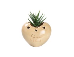 Bomboniera Matrimonio harmony PORTA PIANTINA CUORE PORCELLANA 4 COLORI ASSORTITI CON PIANTA INCLUSA su Bomboniere Dolci Emozioni