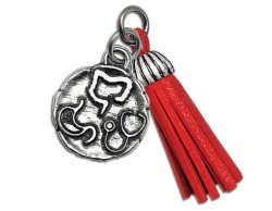 Bomboniera Laurea ciondolo gastroenterologia con nappa rossa