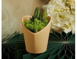 Bomboniera Claraluna 2026 Vasetto Marrone a Cuore con Piantina Grassa e Muschio