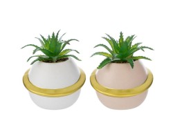 bomboniera matrimonioVasetto Pianeta con Piantina Artificiale