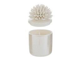 Bomboniera le stelle Candela Scatola Corallo in Porcellana Bianca