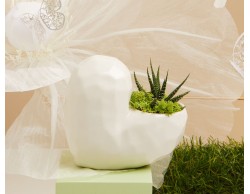 BOMBONIERA MATRIMONIO CLARALUNA VASO A CUORE CON PIANTINA BIANCO